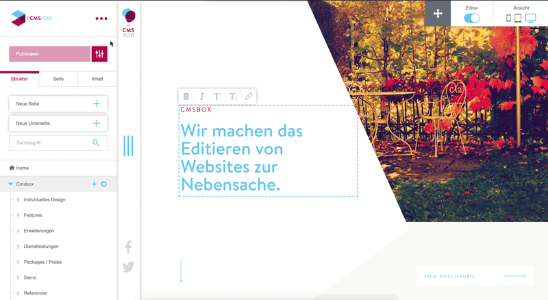 CMS BOX Website Erstellung